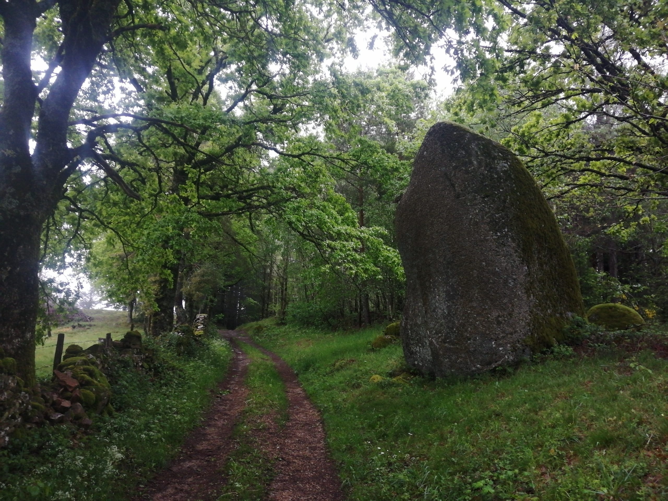 Parcours Golinhac Trail d'Aqui est l'espace trail de la Communauté de Communes Comtal Lot Truyère. 21 parcours (Bessuéjouls, Bozouls, Campuac, Coubisou, Entraygues, Espalion, Espeyrac, Estaing, Gabriac, Golinhac, La Loubière, Lassouts, Le Cayrol, Le Fel, Le Nayrac, Montrozier, Rodelle, Saint-Côme-d’Olt, Saint-Hippolyte, Sébrazac, Villecomtal) et 2 parcours demi-kilomètre vertical permettent de découvrir plus de 500 kilomètres de chemins et monotraces.